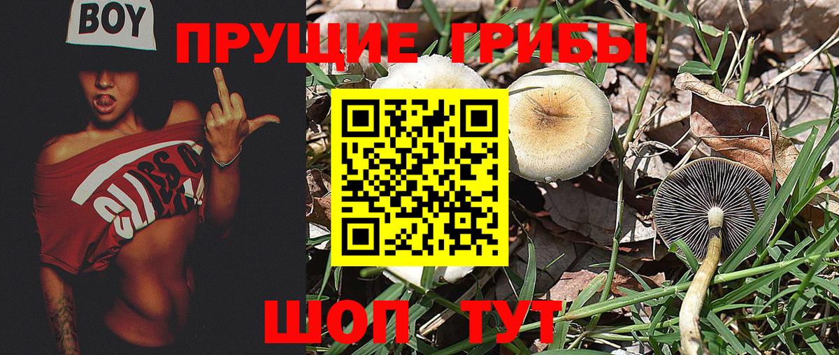 Галлюциногенные грибы ЛСД Белореченск