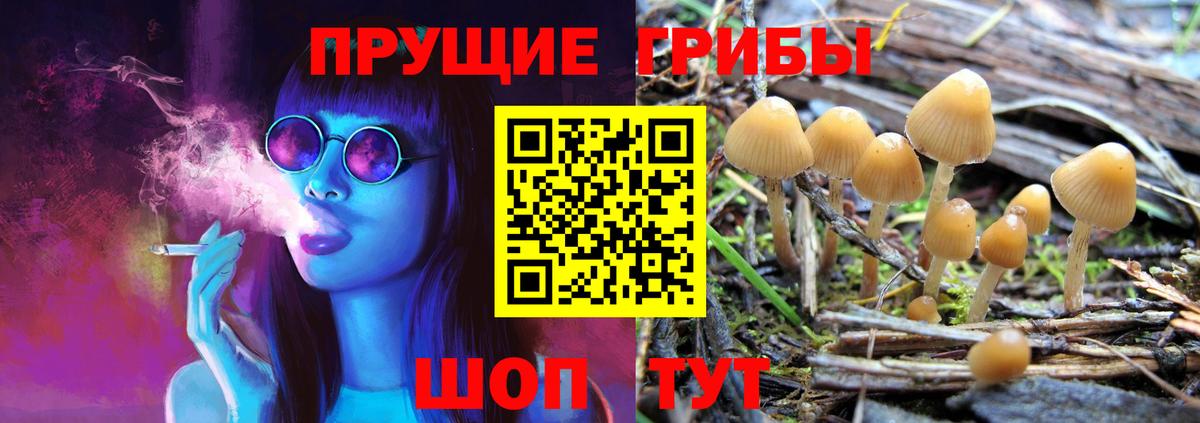 Псилоцибиновые грибы ЛСД  Вход с VPN  Белореченск 
